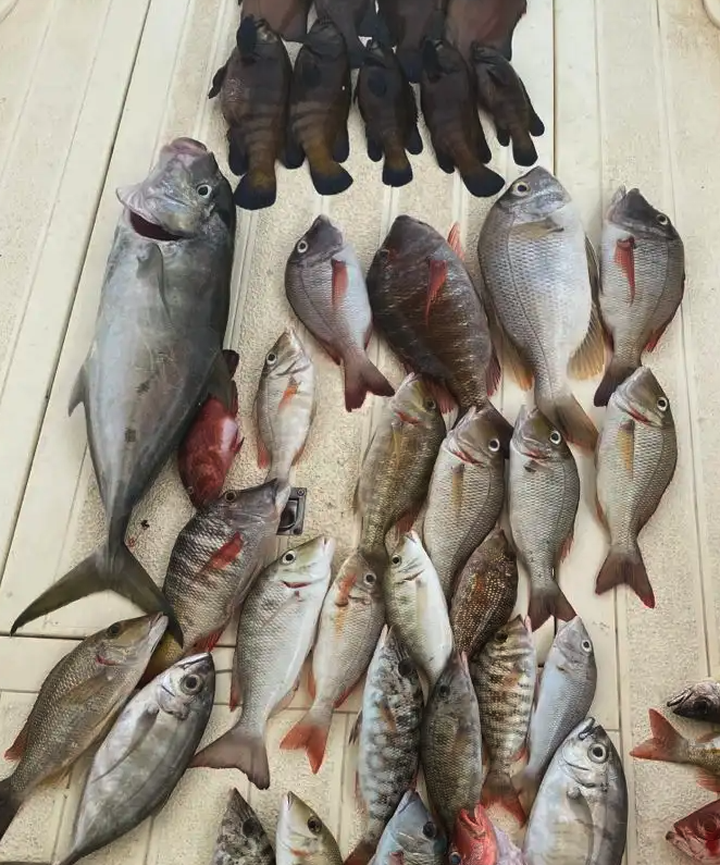 رحلات صيد تبدا من 900