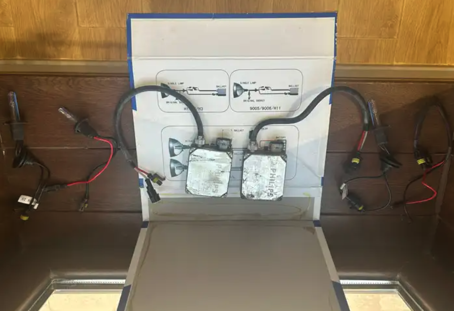 زينون بوش الماني