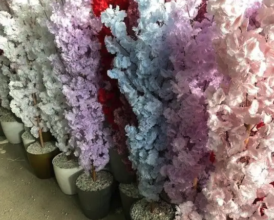 تنسيق وتزين الحدائق زراعة الأشجار والنخيل كل ما يخص الحدائق