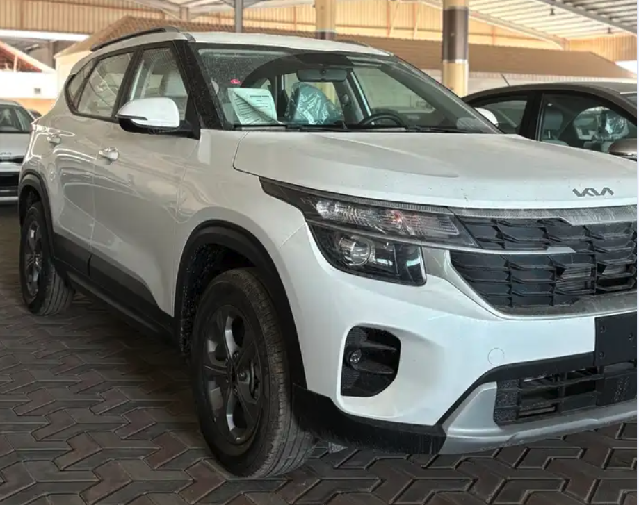 سيلتوس ستاندر مطور 2026