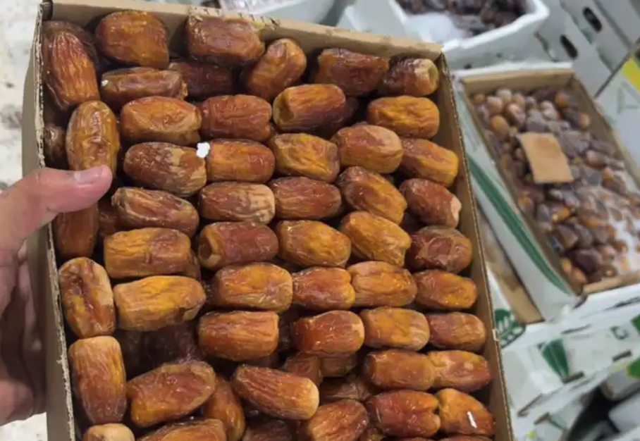 تمر ربيعه و شلبي