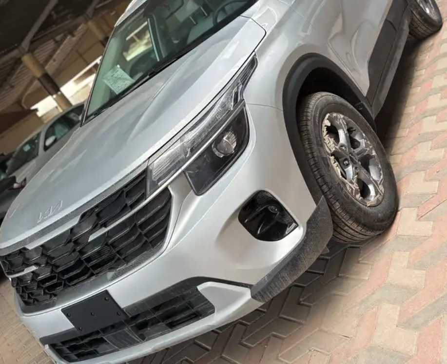 سيلتوس ستاندر مطور 2026