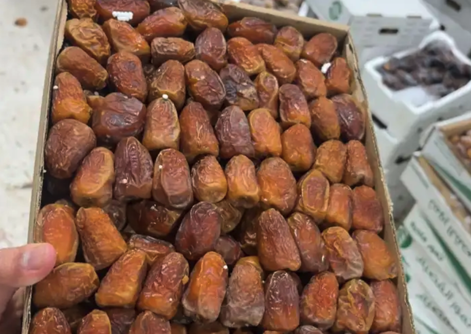 تمر ربيعه و شلبي