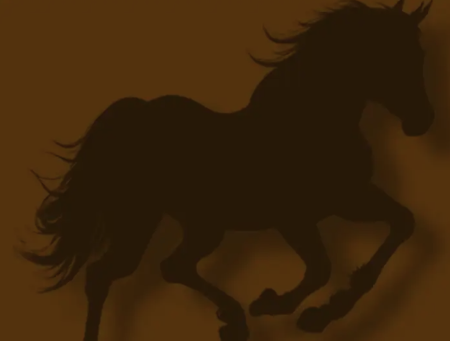 مزاد الاصيل للخيول العربية