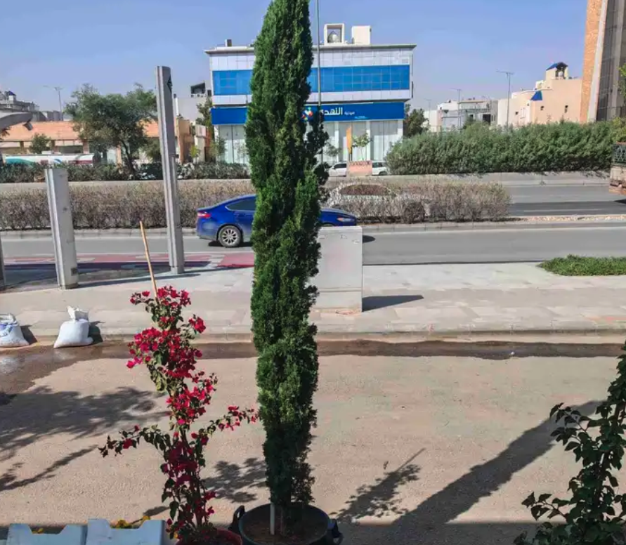 الزراعة الثيل الطبيعي وتركيب شبكات الري العادي والاتوماتيك