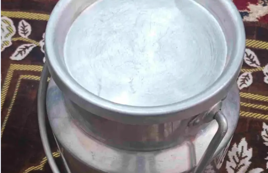 خضاضة حليب او لبن