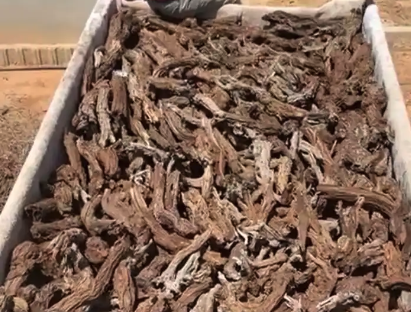 حطب أفريقي سمر