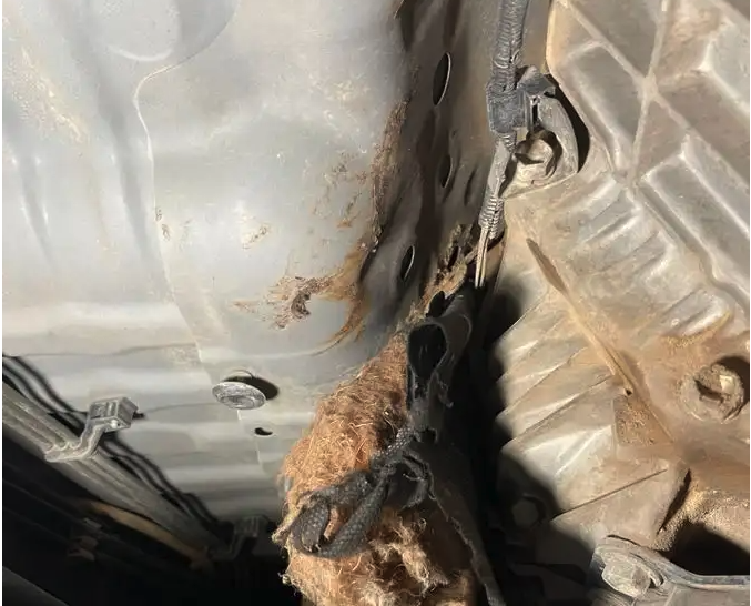 فحص سيارات في المدينة المنورة لمن هم خارجها