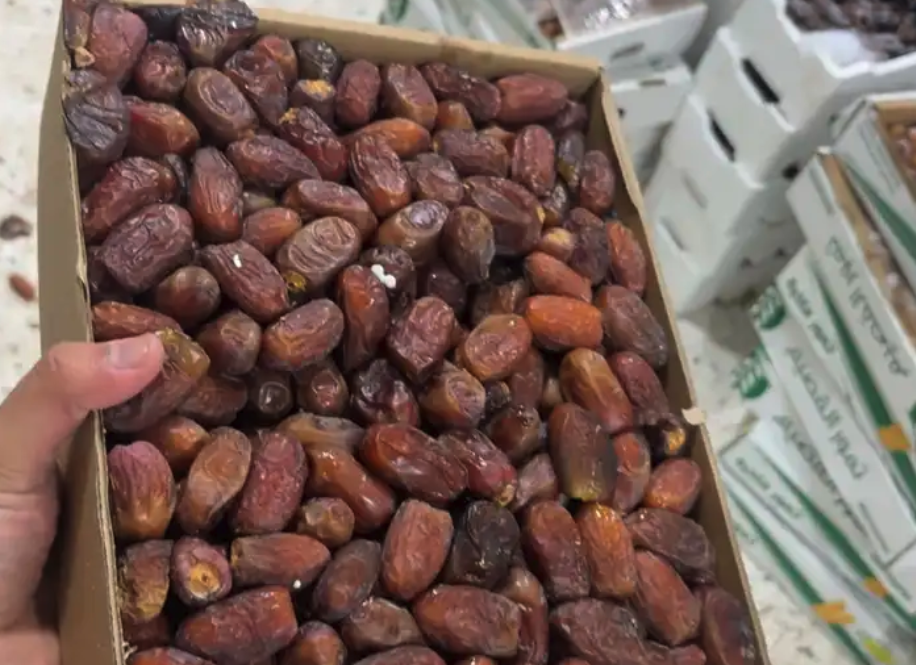 تمر ربيعه و شلبي