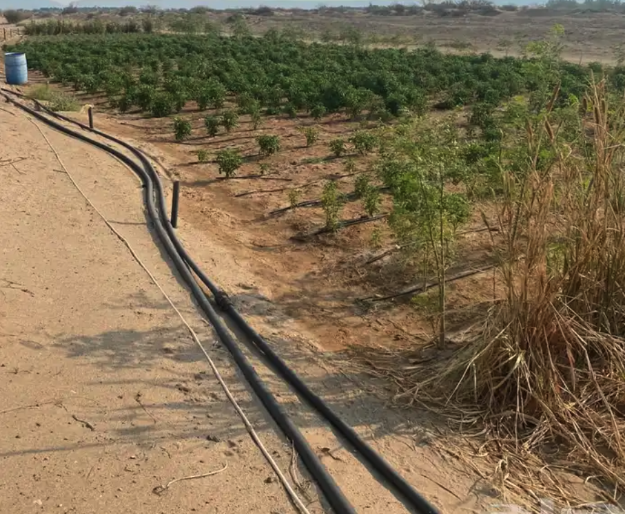 مزرعة و استراحة للإيجار السنوي