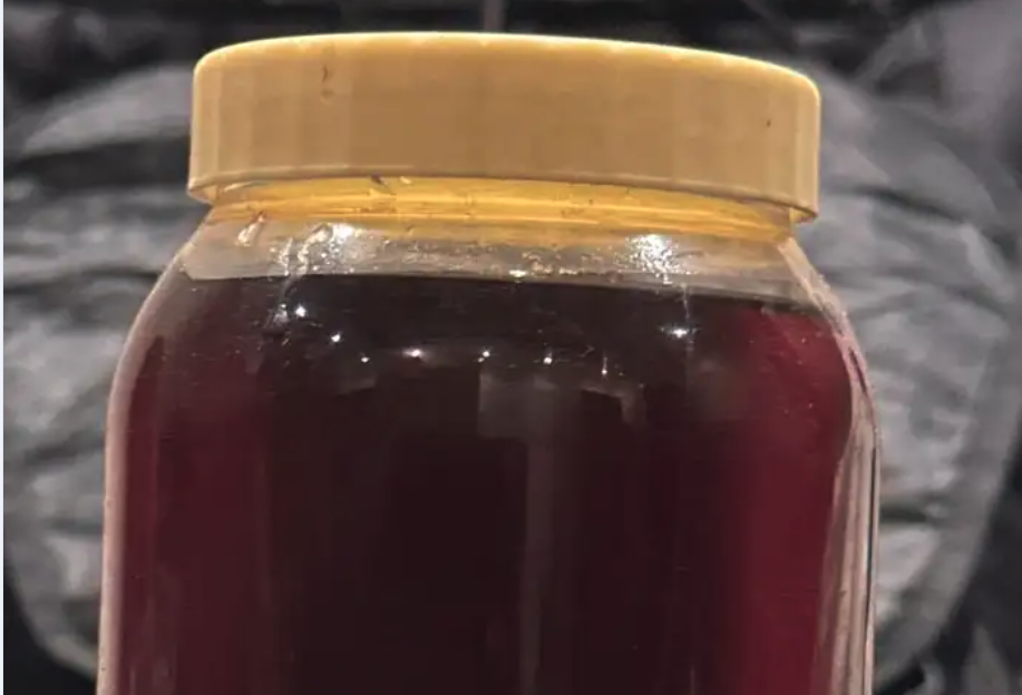 للبيع عسل سدر طبيعي 100 للكيلو 200 ونص كيلو 100