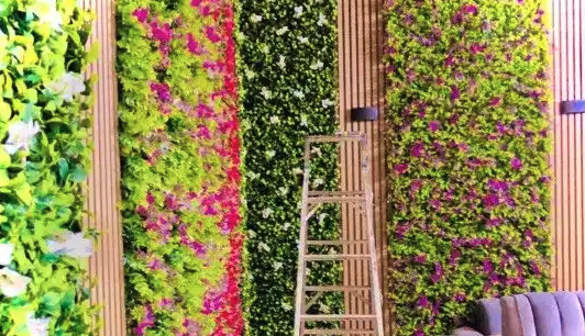 تنسيق وتزين الحدائق زراعة الأشجار والنخيل كل ما يخص الحدائق