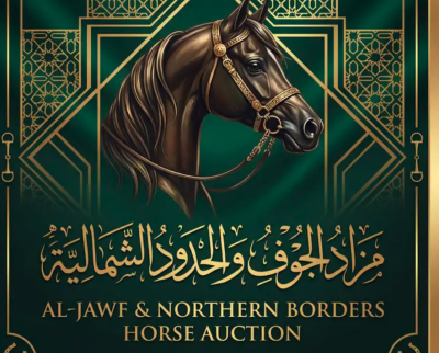 مزاد الجوف و حدود الشمالية للخيل