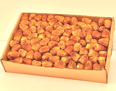 تمر سكري مفلت جالكس رطب