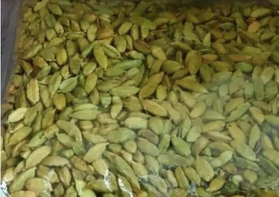 هيل أمريكي جامبو حبه كبير درجه اولى السعر165ريال