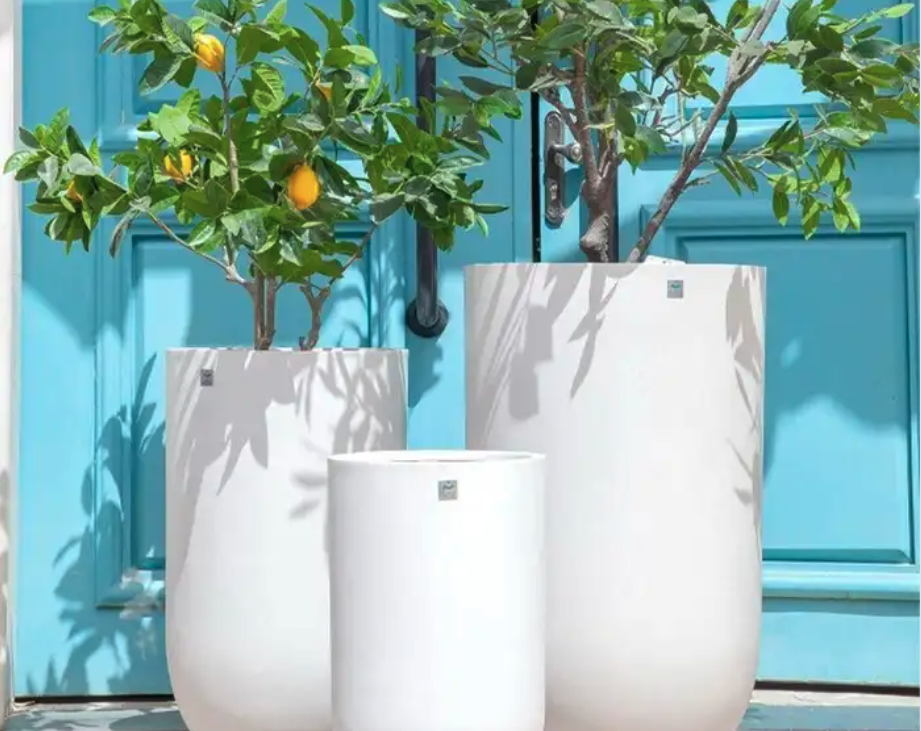 احواض فايبر جلاس احواض زراعة احواض بلاستيك