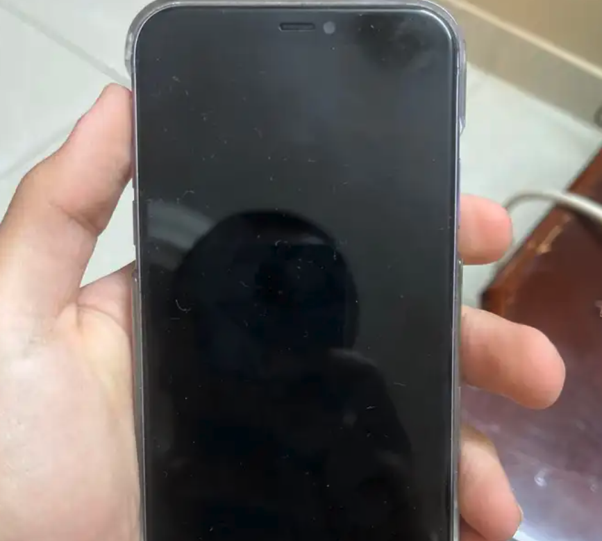 ايفون 11 عادي